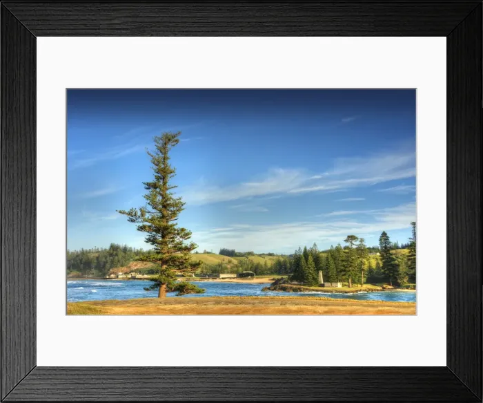 Framed Print : The Lone pine at Point Hunter, Emily Bay, Kingston, Norfolk Island Framed Print : The Lone pine at Point Hunter, Emily Bay, Kingston, Norfolk Island