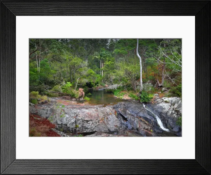 Framed Print : Cedar Creek rainforest, Tamborine mountains, Queensland, Australia Framed Print : Cedar Creek rainforest, Tamborine mountains, Queensland, Australia