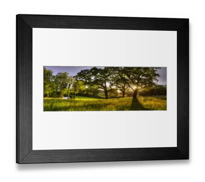 Framed Print : Grange Heath, near Wareham, Dorset, England Framed Print : Grange Heath, near Wareham, Dorset, England