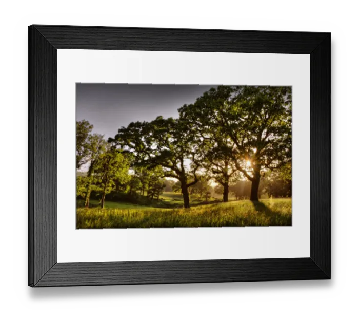 Framed Print : Grange Heath, near Wareham, Dorset, England Framed Print : Grange Heath, near Wareham, Dorset, England