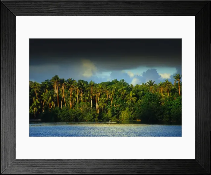 Framed Print : Coastal rainforest, Erakor lagoon, Island of Efate, Vanuatu