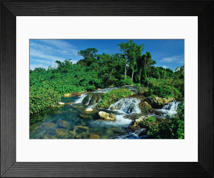 Framed Print : Sacred pools, Island of Efate, Vanuatu Framed Print : Sacred pools, Island of Efate, Vanuatu