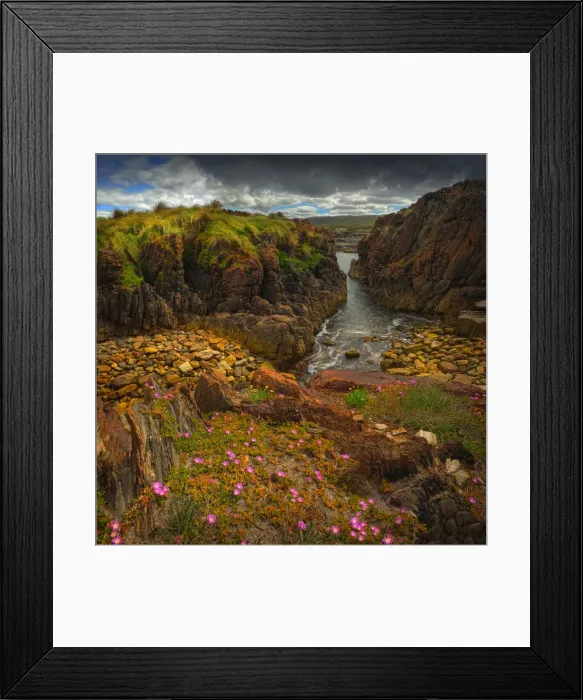 Framed Print : The pristine and wild Tarkine wilderness area and coastline, Tasmania, Australia Framed Print : The pristine and wild Tarkine wilderness area and coastline, Tasmania, Australia