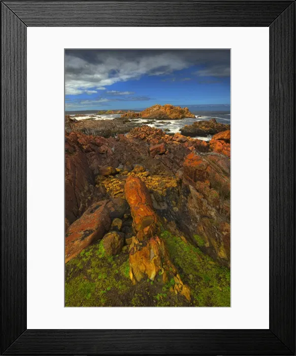 Framed Print : The pristine and wild Tarkine wilderness area and coastline, Tasmania, Australia