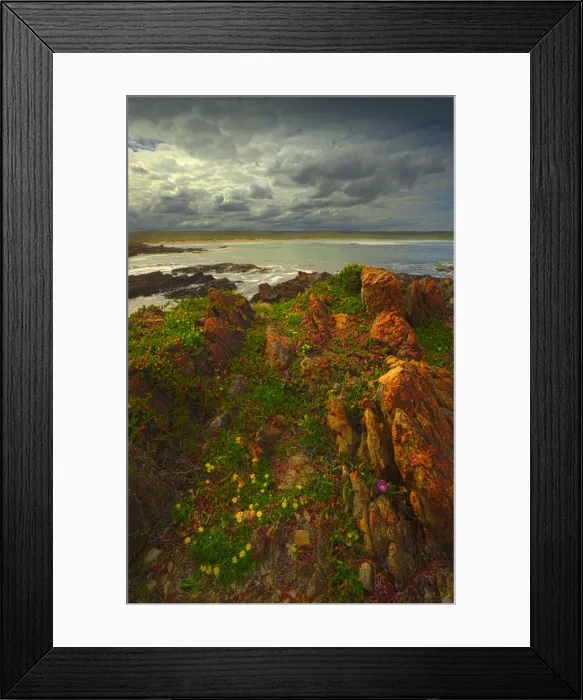 Framed Print : The pristine and wild Tarkine wilderness area and coastline, Tasmania, Australia