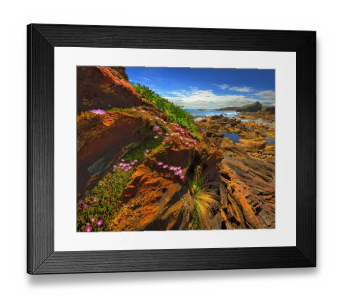 Framed Print : The pristine and wild Tarkine wilderness area and coastline, Tasmania, Australia Framed Print : The pristine and wild Tarkine wilderness area and coastline, Tasmania, Australia