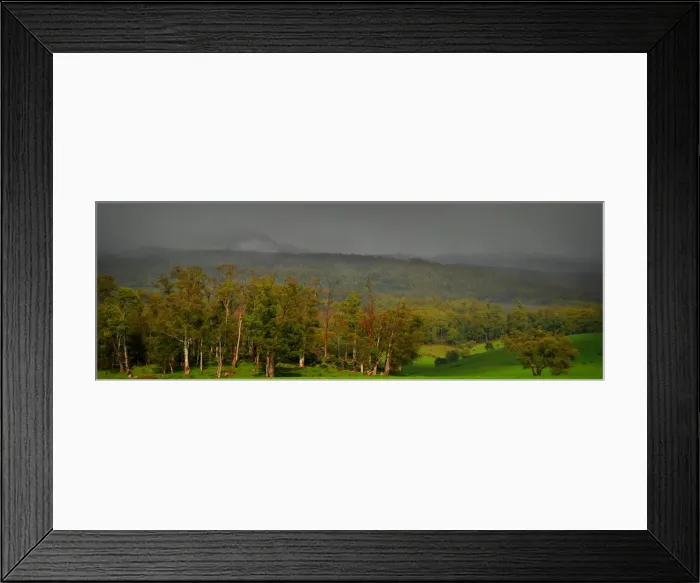 Framed Print : Wet day in the hills near Scottsdale, Tasmania, Australia Framed Print : Wet day in the hills near Scottsdale, Tasmania, Australia