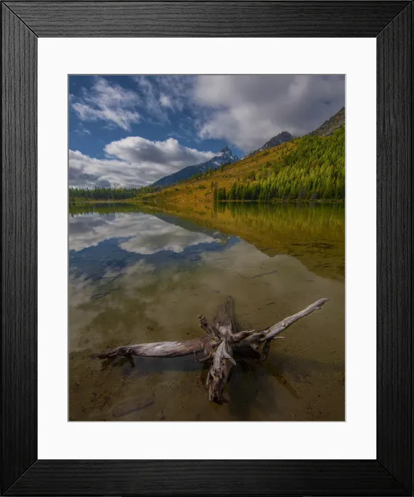 Framed Print : String lake during the Autumn season, a lovely small lake in the Grand Teton National Park, Wyoming, USA Framed Print : String lake during the Autumn season, a lovely small lake in the Grand Teton National Park, Wyoming, USA