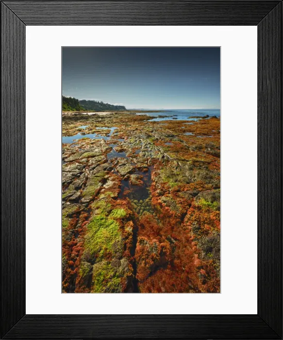 Framed Print : Low tide at Flinders, Western port bay, Victoria, Australia Framed Print : Low tide at Flinders, Western port bay, Victoria, Australia