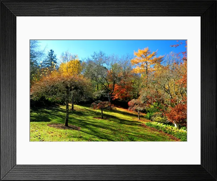 Framed Print : Mount Macedon in the Autumn, Victoria, Australia Framed Print : Mount Macedon in the Autumn, Victoria, Australia