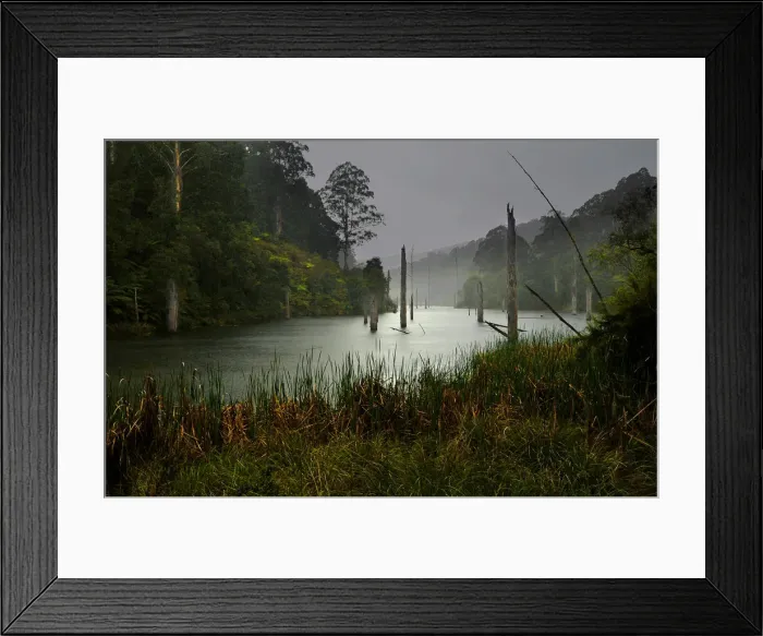 Framed Print : Lake Elizabeth, south-western Victoria, Australia Framed Print : Lake Elizabeth, south-western Victoria, Australia