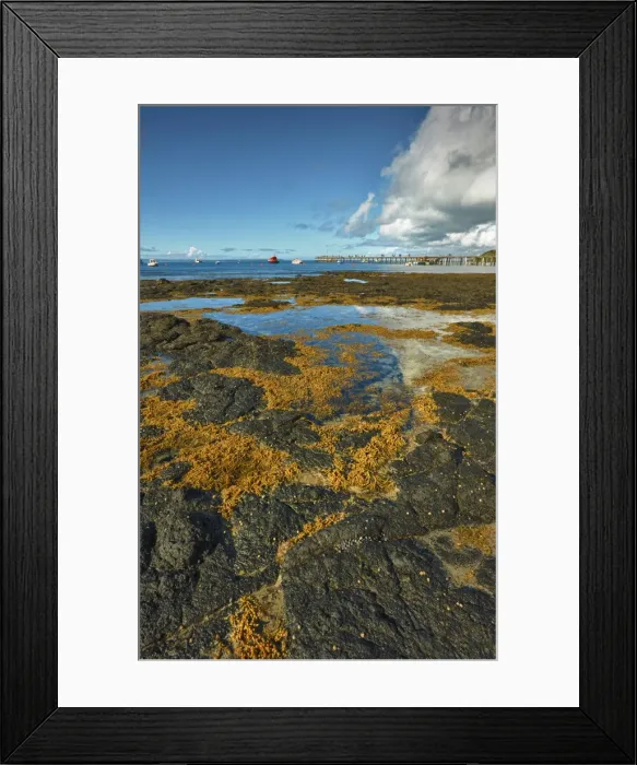 Framed Print : Low tide at Flinders, Western port bay, Victoria, Australia