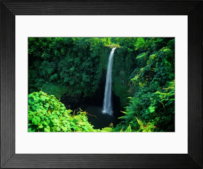 Framed Print : Fuipusia waterfall, The Island of Upolu, Western Samoa Framed Print : Fuipusia waterfall, The Island of Upolu, Western Samoa