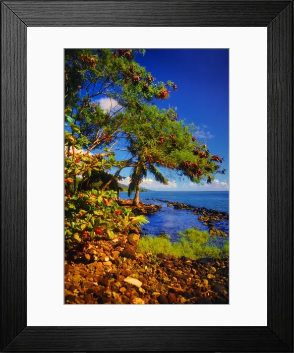 Framed Print : Coastline on The Island of Upolu, Western Samoa Framed Print : Coastline on The Island of Upolu, Western Samoa