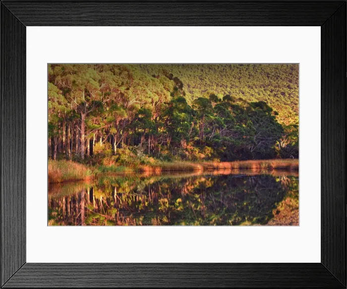 Framed Print : Lagoon reflections, Adventure bay, South Bruny Island, Tasmania Framed Print : Lagoon reflections, Adventure bay, South Bruny Island, Tasmania