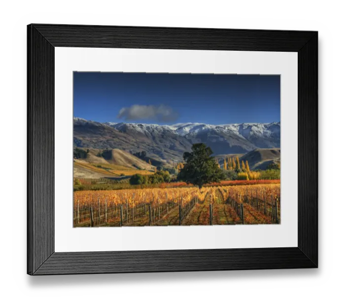 Framed Print : Autumn in Cromwell, south island New Zealand