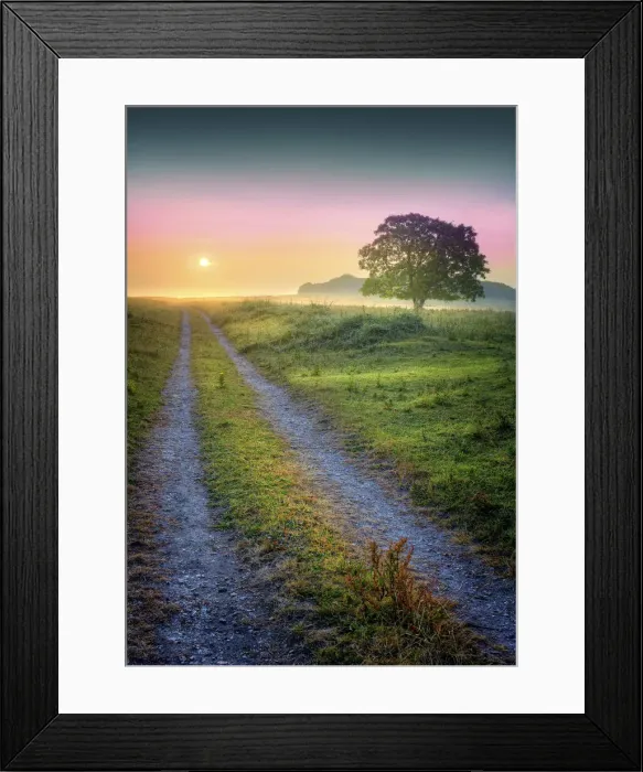 Framed Print : Misty dawn at Bradbury rings, Dorset, England