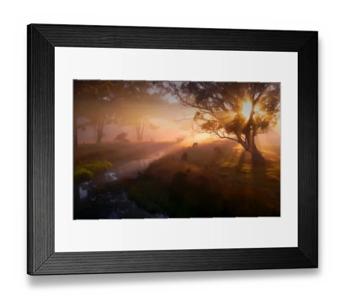 Framed Print : First light of dawn at the Dasher River near Sheffield, central Tasmania Framed Print : First light of dawn at the Dasher River near Sheffield, central Tasmania