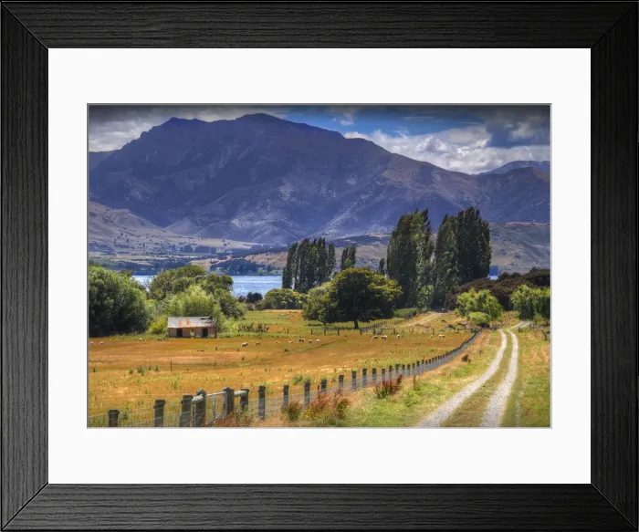 Framed Print : A rural scene of farmland near Wanaka, in the Autumn, South Island, New Zealand