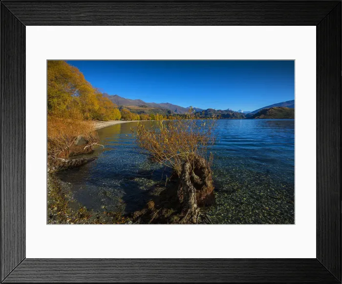 Framed Print : Autumn colours near Wanaka, South Island, New Zealand