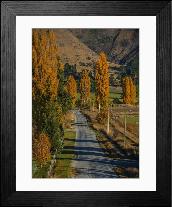 Framed Print : Autumn colours near Wanaka, South Island, New Zealand