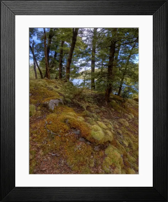 Framed Print : Rainforest and beautiful countryside around the Waiau river, South Island, New Zealand