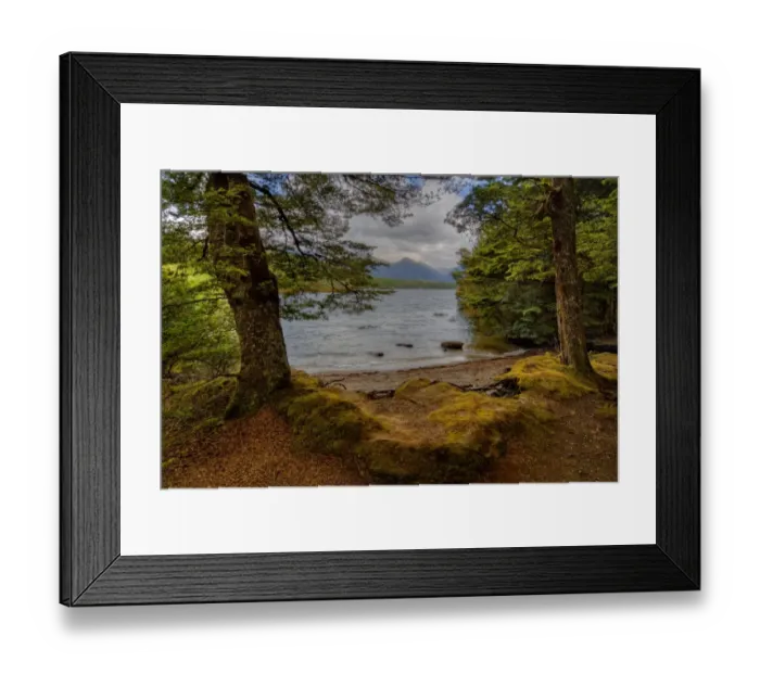 Framed Print : Rainforest and beautiful countryside around the Waiau river, South Island, New Zealand Framed Print : Rainforest and beautiful countryside around the Waiau river, South Island, New Zealand