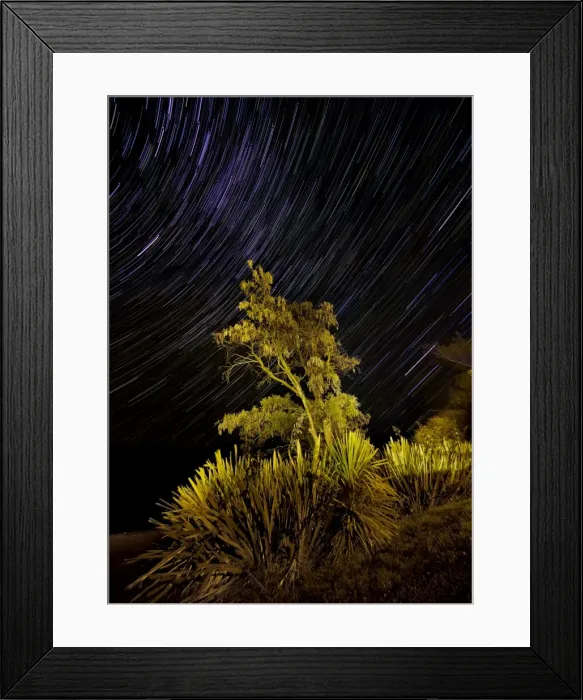Framed Print : Star-trails at Te-Anau, South Island, New Zealand