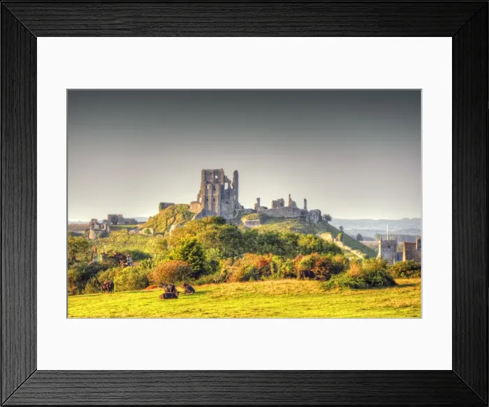 Framed Print : A countryside view near Corfe Castle, Isle of Purbeck, Dorset, England