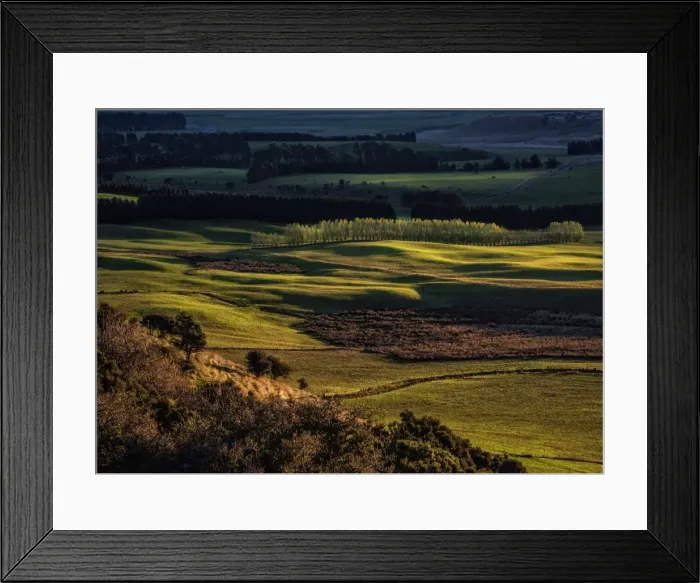 Framed Print : Scenic view near Te-Anau in the late afternoon, with Autumn colour display, South Island, New Zealand Framed Print : Scenic view near Te-Anau in the late afternoon, with Autumn colour display, South Island, New Zealand