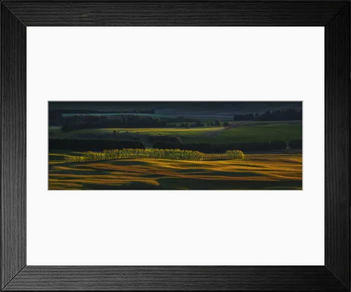 Framed Print : Scenic view near Te-Anau in the late afternoon, with Autumn colour display, South Island, New Zealand