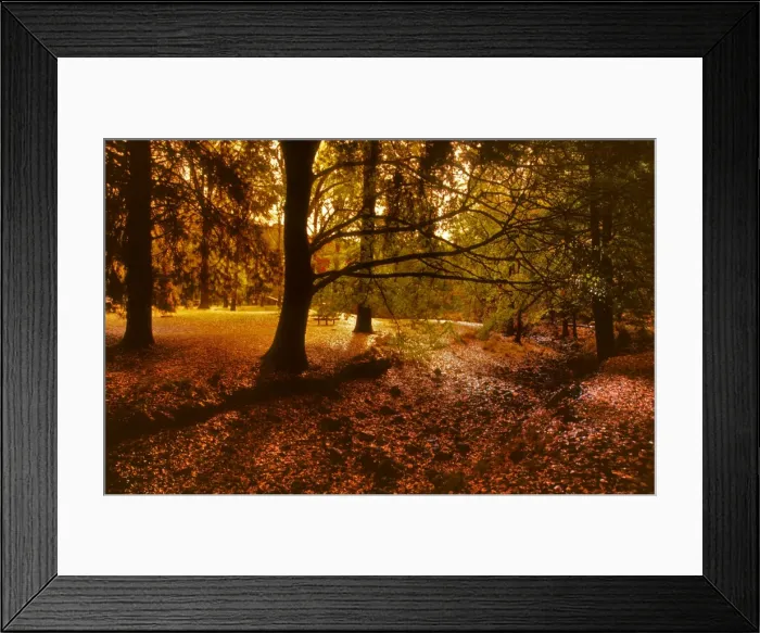 Framed Print : Autumn in Buchan, East Gippsland, Victoria, Australia Framed Print : Autumn in Buchan, East Gippsland, Victoria, Australia