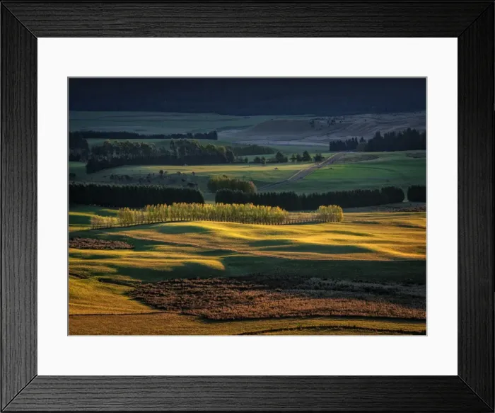 Framed Print : Scenic view near Te-Anau in the late afternoon, with Autumn colour display, South Island, New Zealand Framed Print : Scenic view near Te-Anau in the late afternoon, with Autumn colour display, South Island, New Zealand