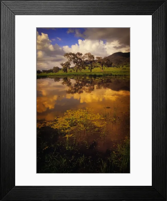 Framed Print : A billabong in springtime near Corryong, North East Victoria, Australia Framed Print : A billabong in springtime near Corryong, North East Victoria, Australia