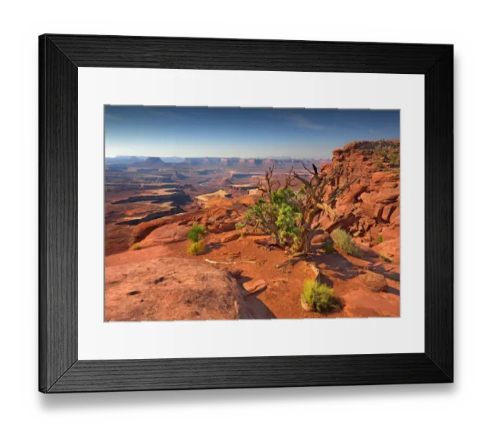 Framed Print : Canyonlands National park in Utah, south west United States Framed Print : Canyonlands National park in Utah, south west United States