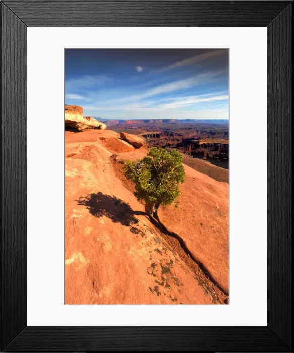 Framed Print : Canyonlands National park in Utah, south west United States