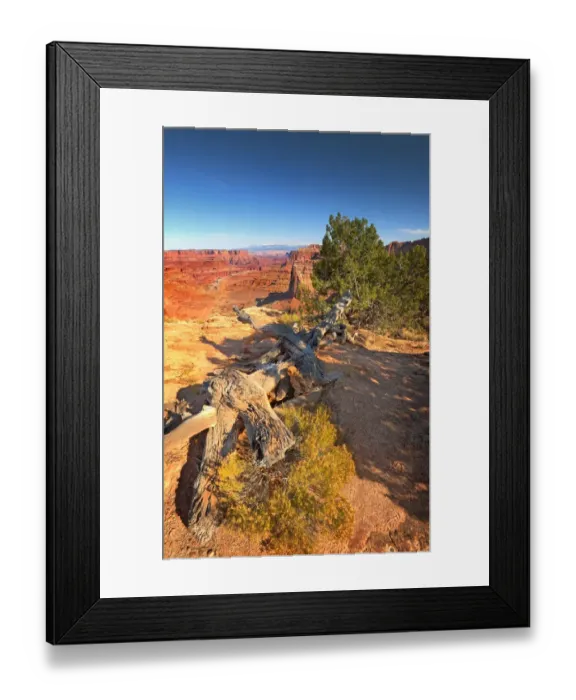 Framed Print : Canyonlands National park in Utah, south west United States Framed Print : Canyonlands National park in Utah, south west United States