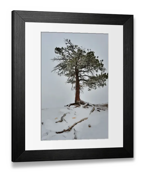 Framed Print : Bryce Canyon National park with a winter covering of snow, Utah, south west United States