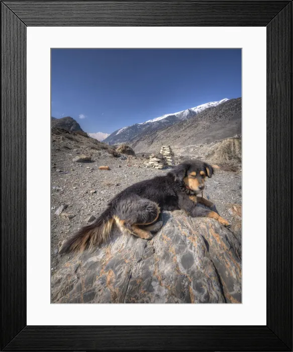 Framed Print : A road-side scene near Jonsom, Mustang province, Western Himalayas, Nepal