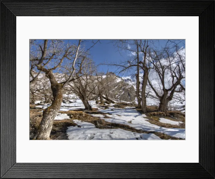 Framed Print : Temple at Muktinath, Mustang region, Western Himalayas, Nepal Framed Print : Temple at Muktinath, Mustang region, Western Himalayas, Nepal