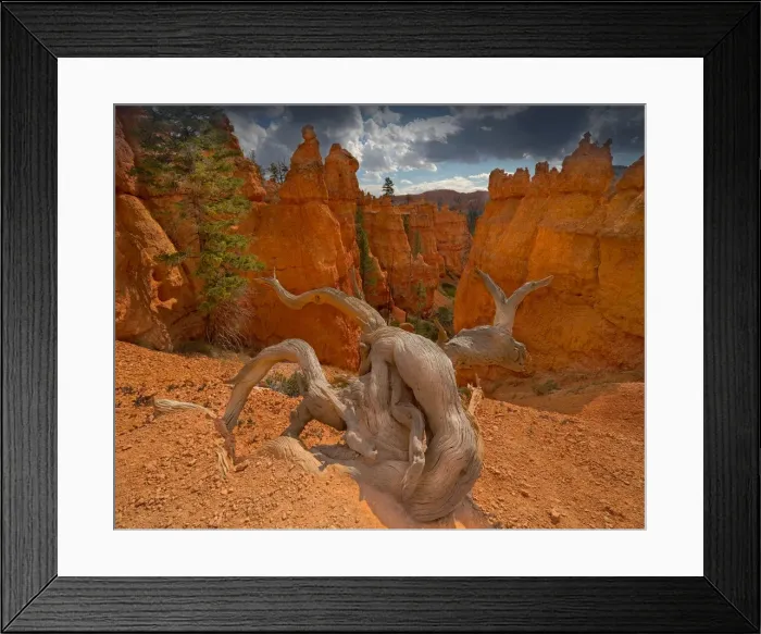 Framed Print : Bryce Canyon National Park, Utah, south west United States