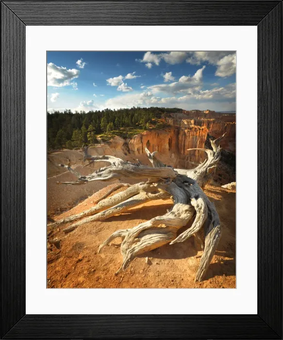 Framed Print : Bryce Canyon National Park, Utah, south west United States