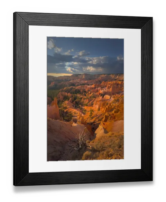 Framed Print : Bryce Canyon National Park, Utah, south west United States Framed Print : Bryce Canyon National Park, Utah, south west United States