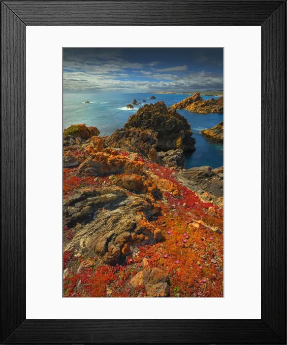 Framed Print : A coastal view in the Tarkine wilderness area of Tasmania, Australia Framed Print : A coastal view in the Tarkine wilderness area of Tasmania, Australia