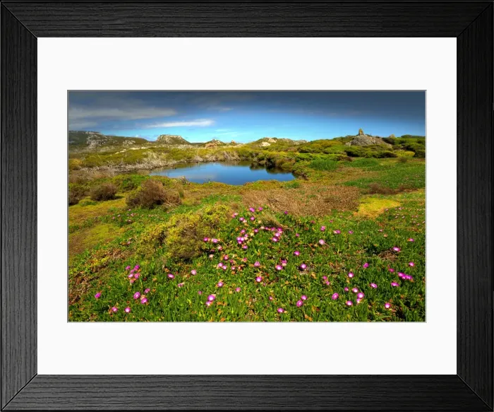 Framed Print : A coastal view in the Tarkine wilderness area of Tasmania, Australia Framed Print : A coastal view in the Tarkine wilderness area of Tasmania, Australia