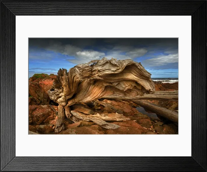 Framed Print : A coastal view in the Tarkine wilderness area of Tasmania, Australia Framed Print : A coastal view in the Tarkine wilderness area of Tasmania, Australia