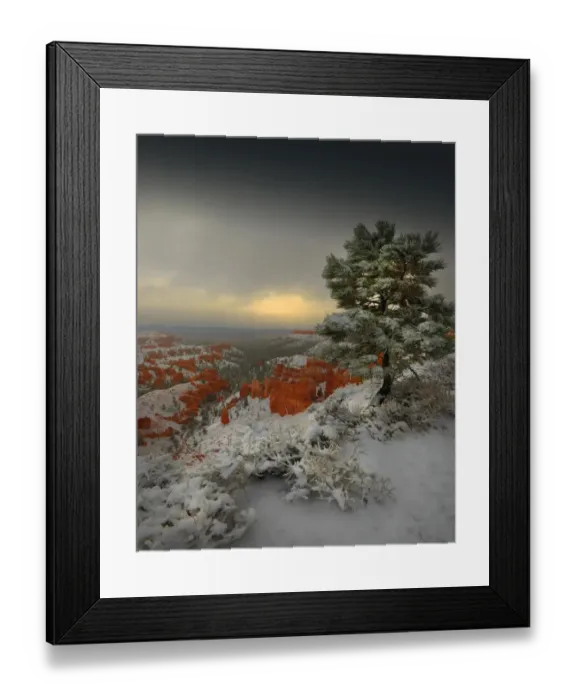 Framed Print : Bryce Canyon National park with a winter covering of snow, Utah, south west United States