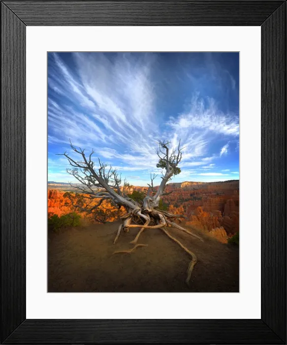 Framed Print : Bryce Canyon National Park, Utah, south west United States