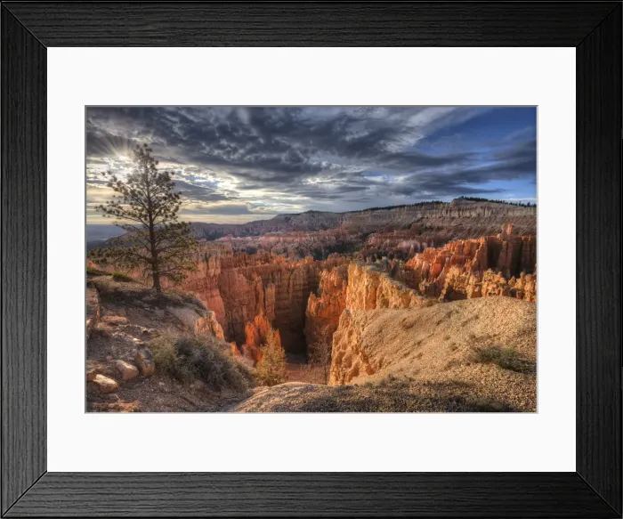 Framed Print : Bryce Canyon National Park, Utah, south west United States Framed Print : Bryce Canyon National Park, Utah, south west United States