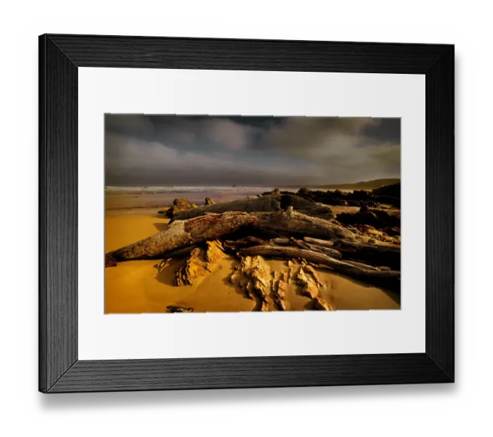 Framed Print : Wild and scenic, the West coast of Tasmania in the Tarkine region, Australia Framed Print : Wild and scenic, the West coast of Tasmania in the Tarkine region, Australia
